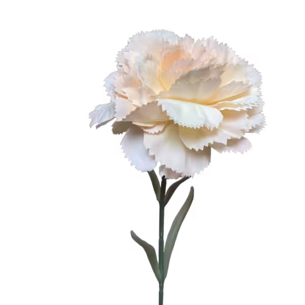 Champagne Ombre Gigi Silk Carnation