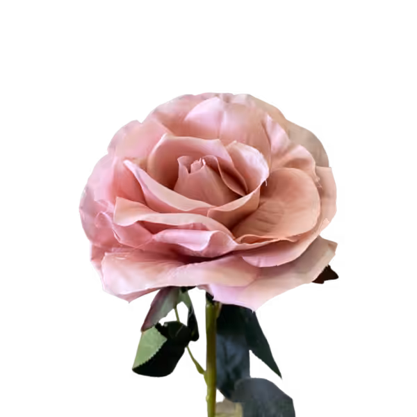 Dusty Pink Stella Silk Rose