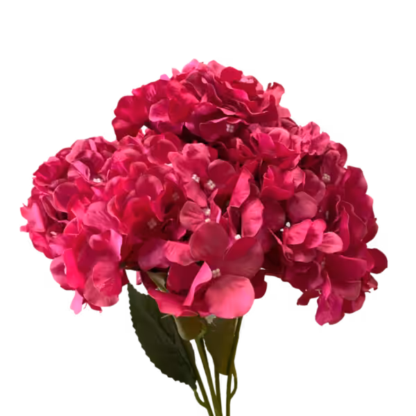 Hot Pink Bianca 5-Head Hydrangea Bunch