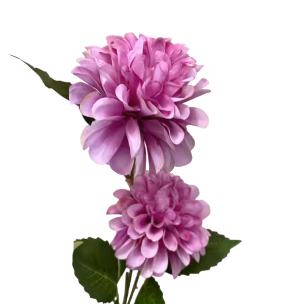 Fuchsia Bronte Dahlia Spray