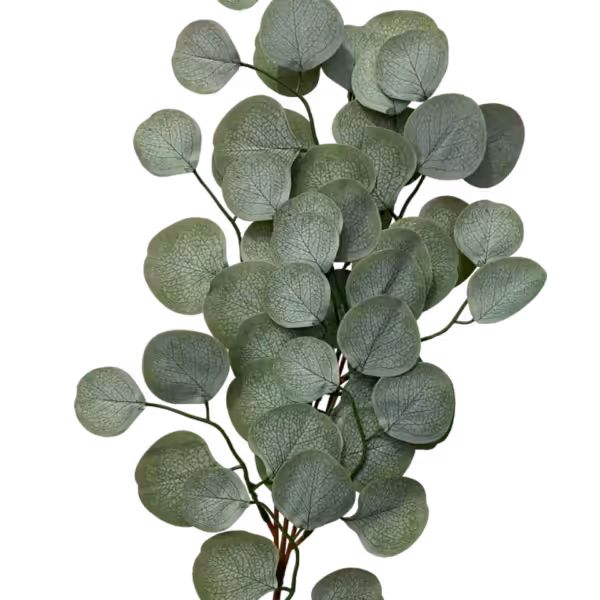 Green Matilda Eucalytpus Stem