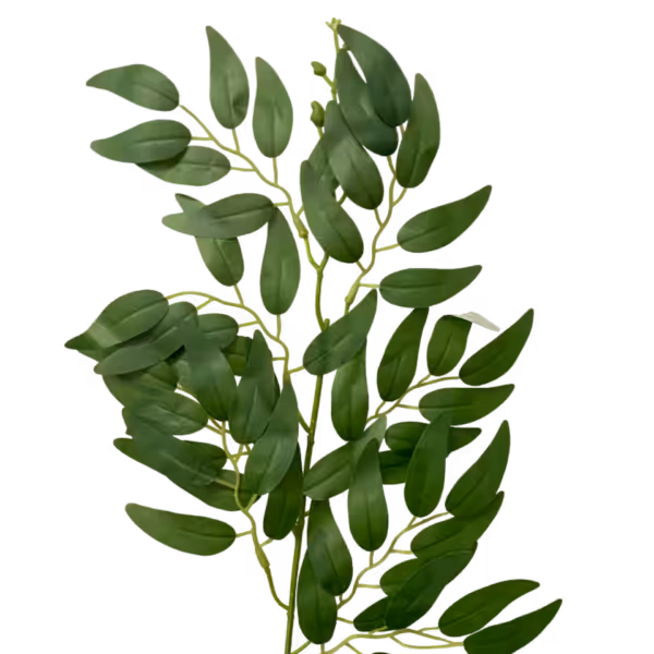 Green Tayla Eucalytpus Stem