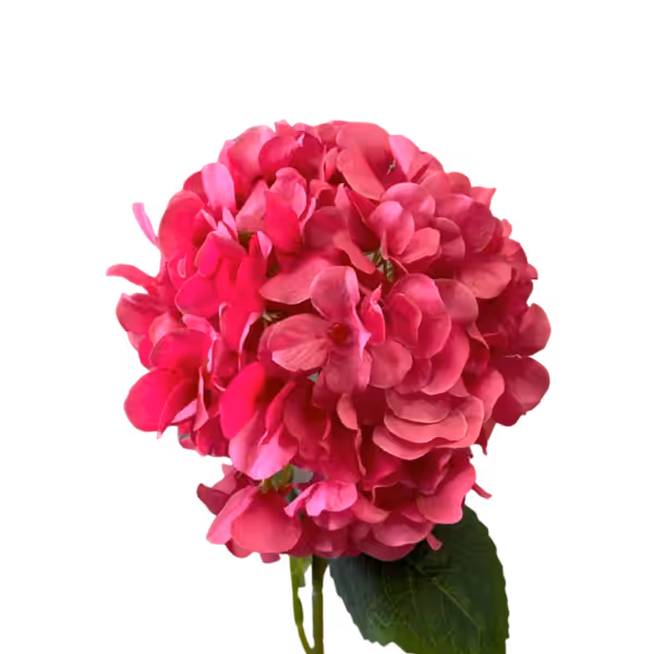 Hot Pink Delta Hydrangea Stem