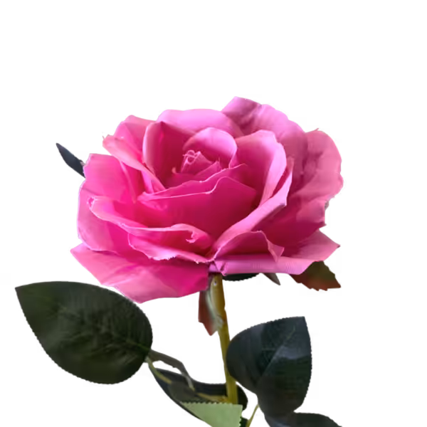 Hot Pink Stella Silk Rose