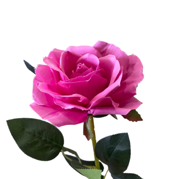 Hot Pink Stella Silk Rose