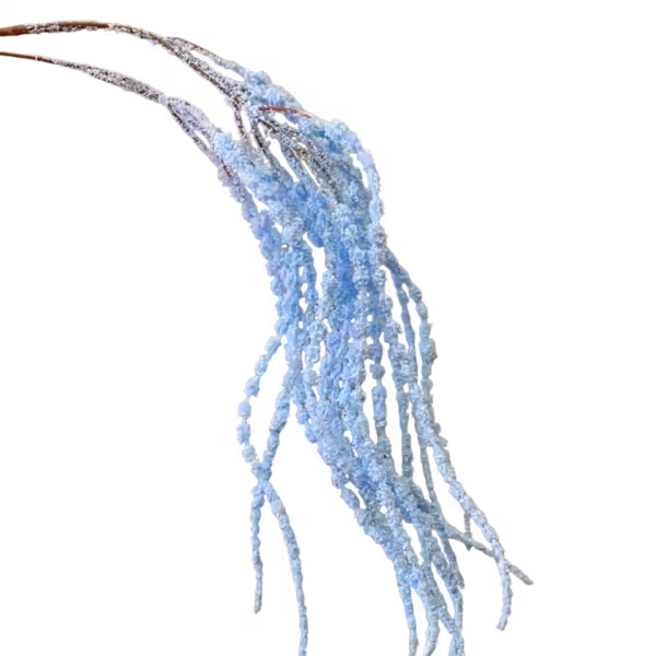 Light Blue Camilla Amaranthus