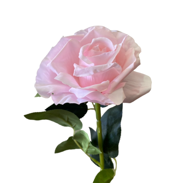 Light Pink Stella Silk Rose