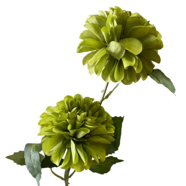Lime Bronte Dahlia Spray