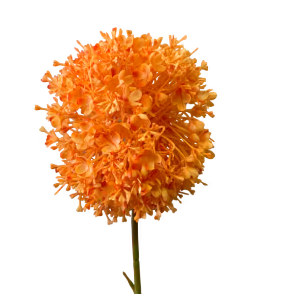 Orange Charlie Pom Pom