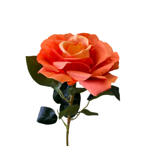 Orange Stella Silk Rose
