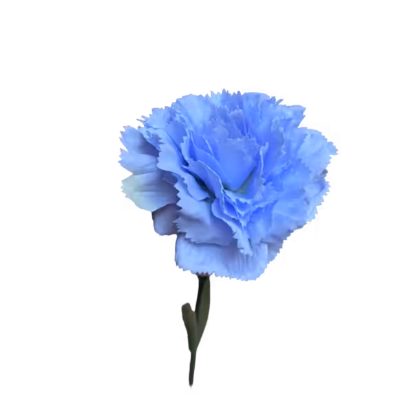 Pastel Blue Gigi Silk Carnation