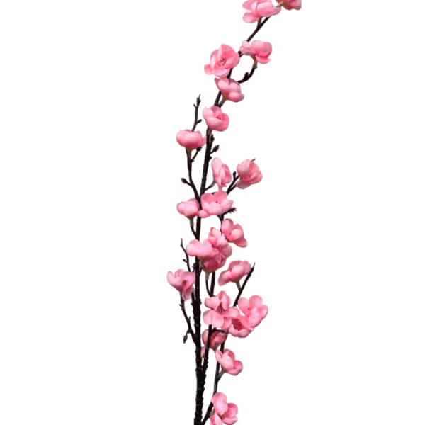 Pink Claire Cherry Blossom
