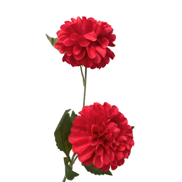 Red Bronte Dahlia Spray