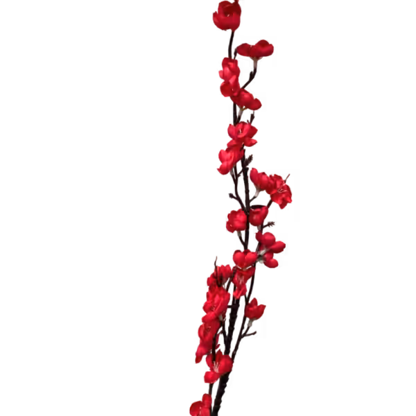 Red Claire Cherry Blossom