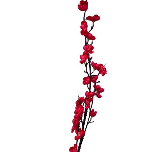 Red Claire Cherry Blossom