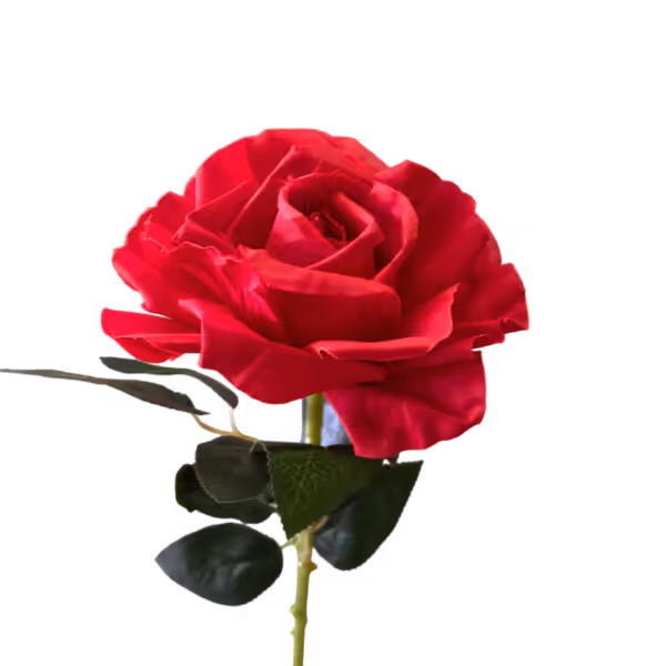 Red Stella Silk Rose