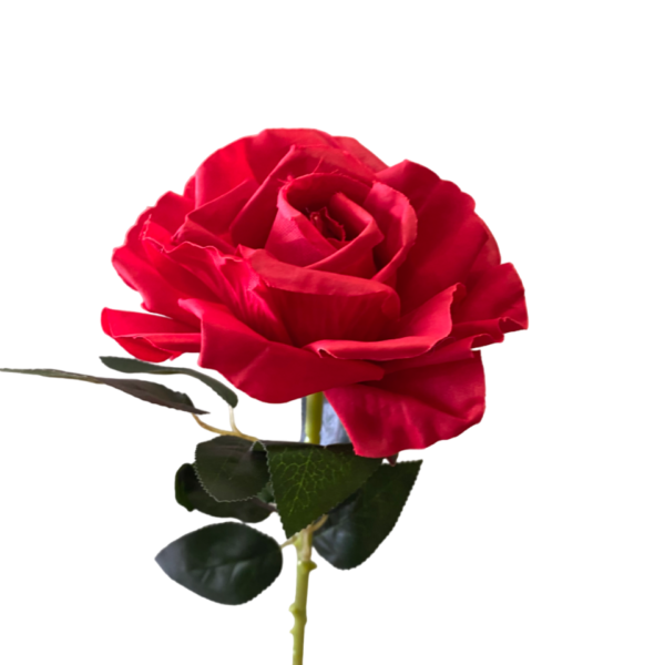 Red Stella Silk Rose