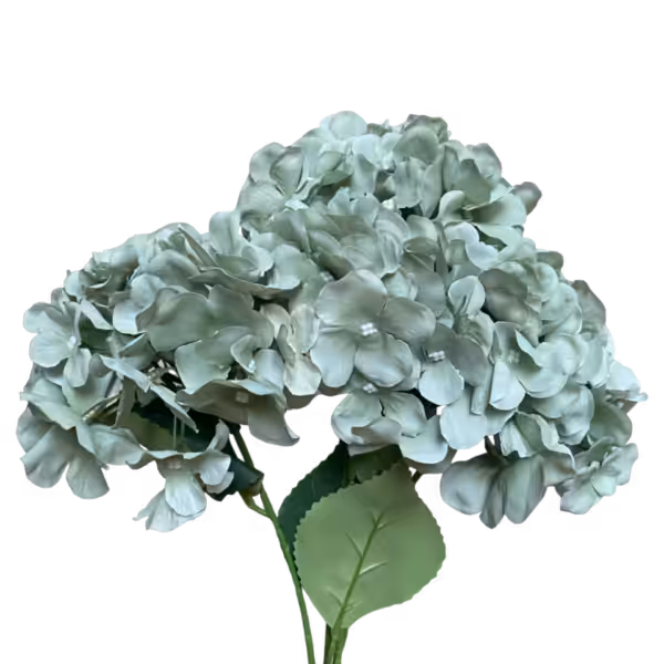 Sage Bianca Hydrangea Bunch