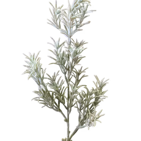 Sage Freya Fog Foliage