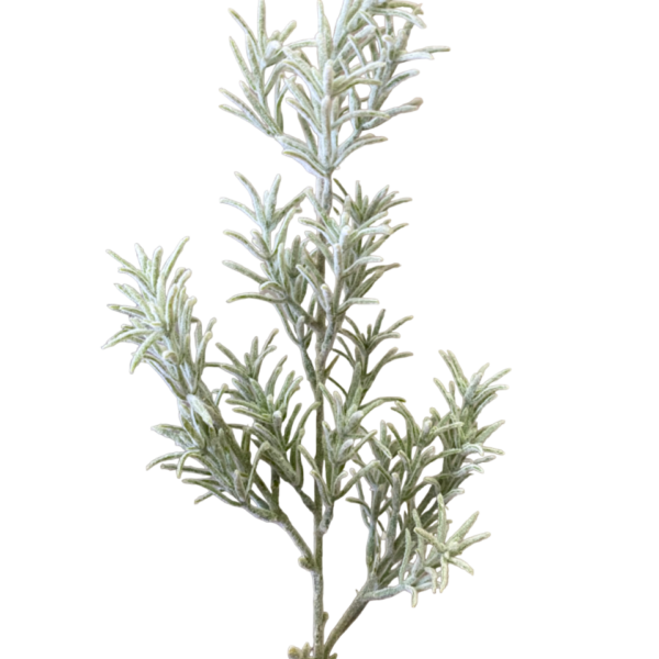 Sage Freya Fog Foliage