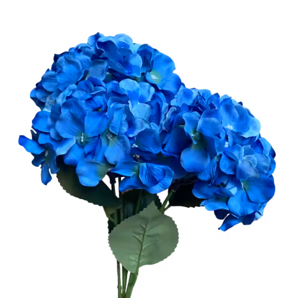 Sky Blue Bianca 5-Head Hydrangea Bunch