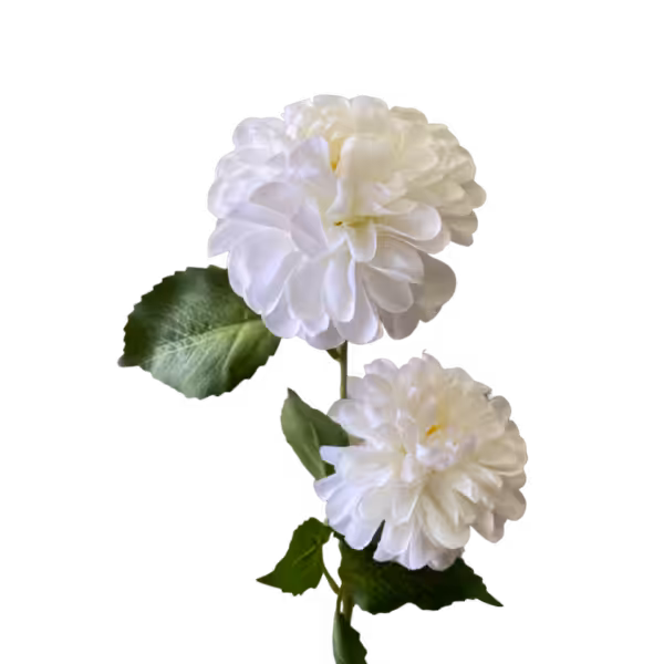 White Bronte Dahlia Spray