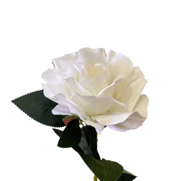 White Stella Silk Rose