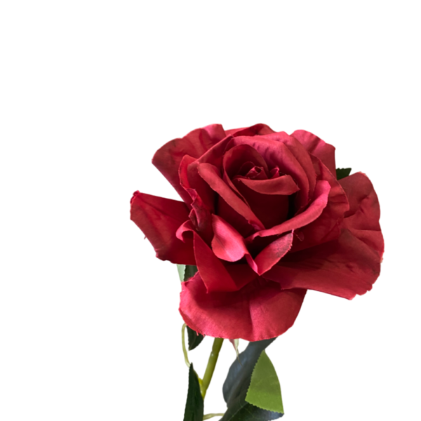 Wine Red Stella Silk Rose