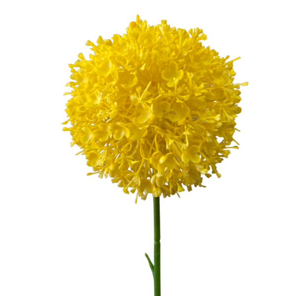 Yellow Charlie Pom Pom