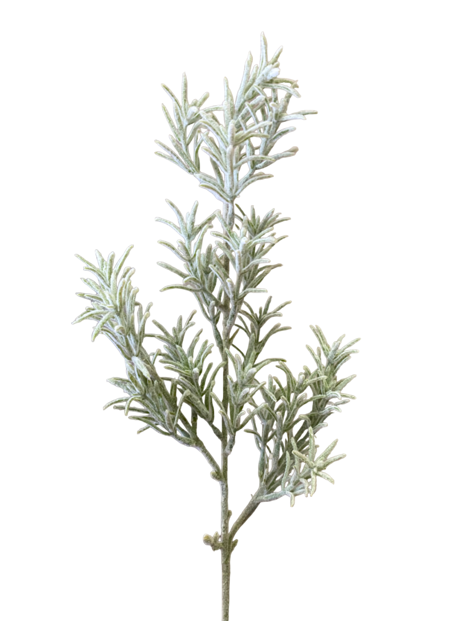 Sage Freya Fog Foliage