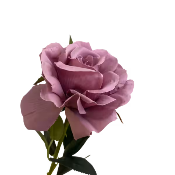 Mauve Stella Silk Rose
