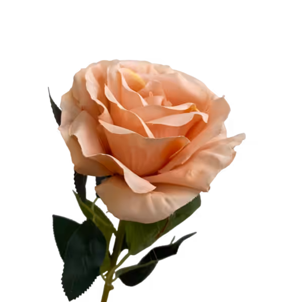 Peach Stella Silk Rose