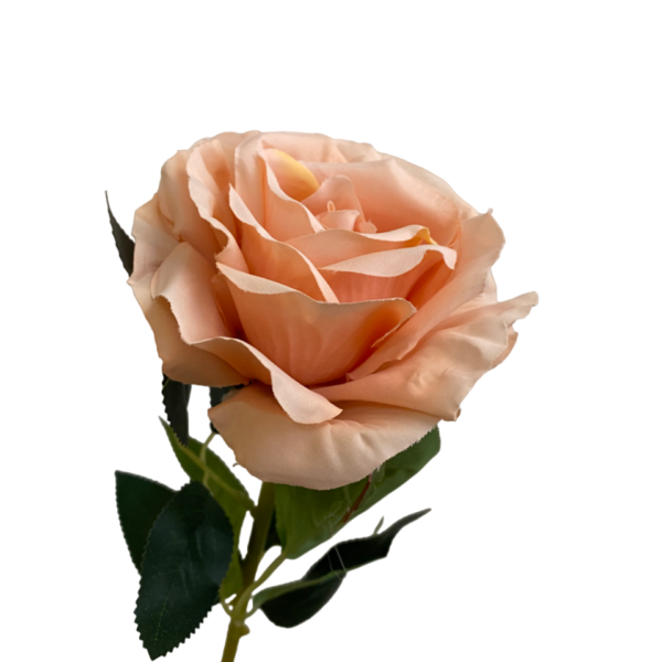 Peach Stella Silk Rose