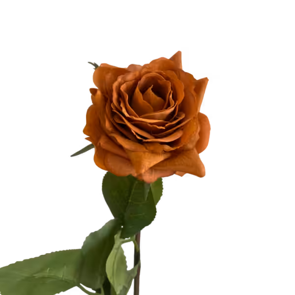 Burnt Orange Elena Real Touch Rose