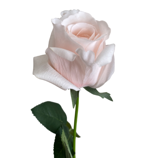 Champagne Emma Real Touch Rose Bud
