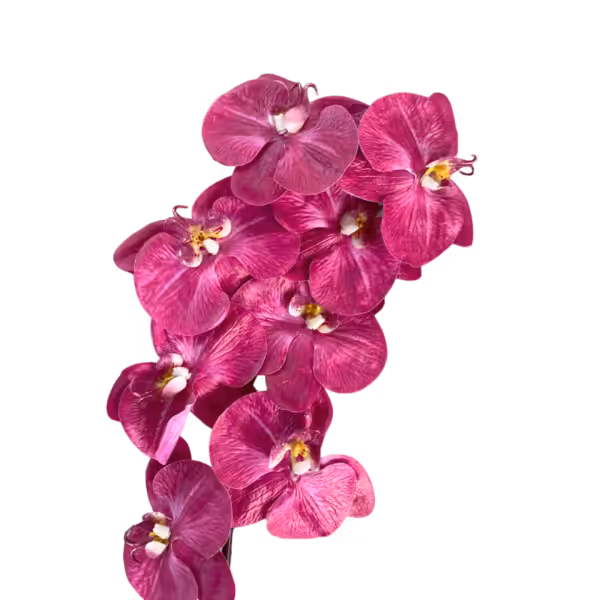 Hot Pink Alexia Luxe Real Touch 8-Head Orchid