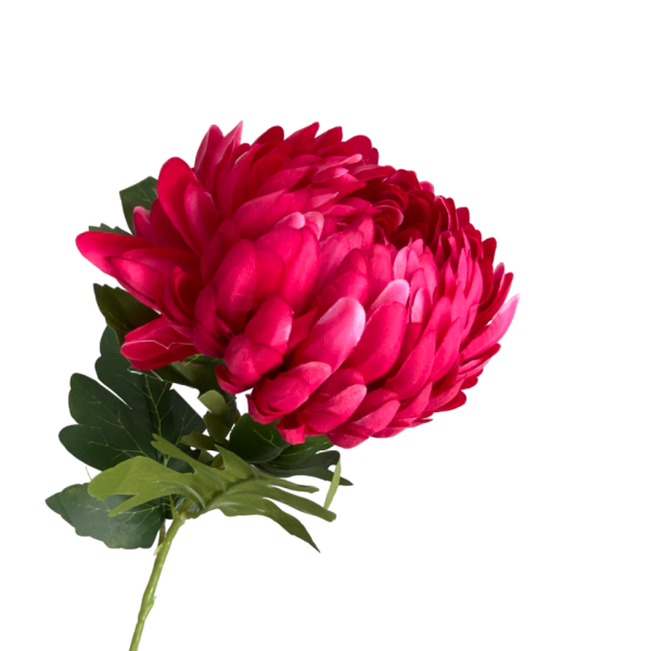 Hot Pink Coco Pineapple Chrysanthemum