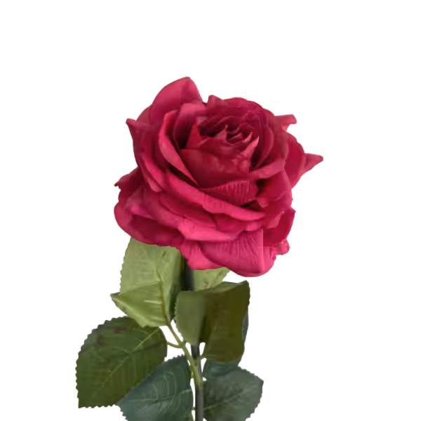 Hot Pink Elena Real Touch Rose