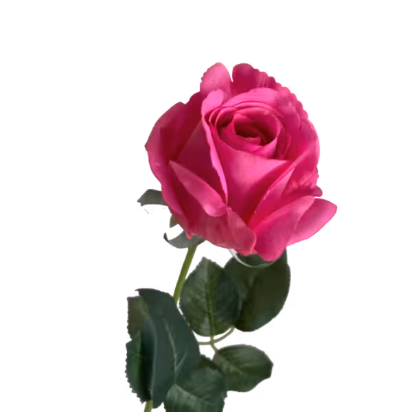 Hot Pink Emma Real Touch Rose Bud