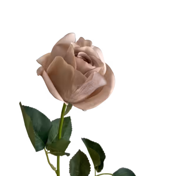 Latte Emma Real Touch Rose Bud