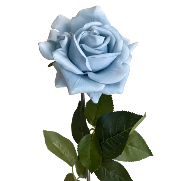 Light Blue Eva Real Touch Rose