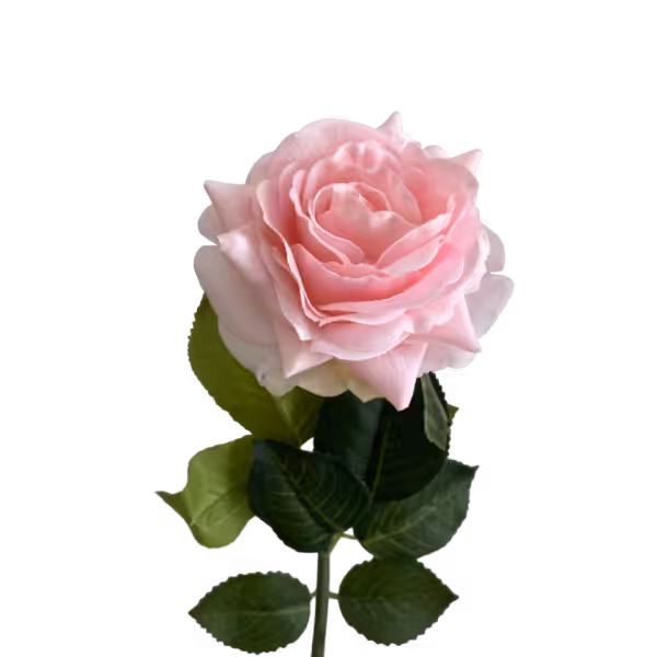 Light Pink Elena Real Touch Rose
