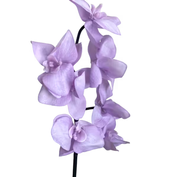 Lilac Celeste Real Touch 7-Head Orchid