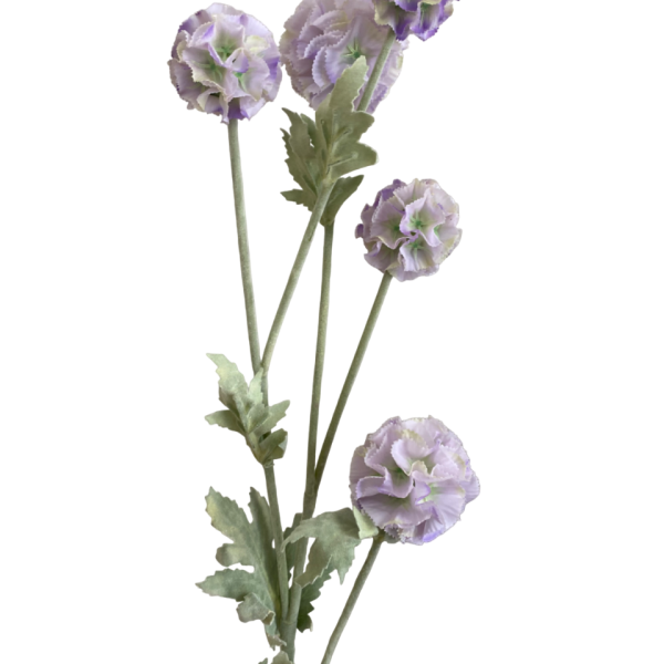 Lilac Pia Scabiosa Spray