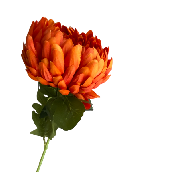 Orange Coco Pineapple Chrysanthemum