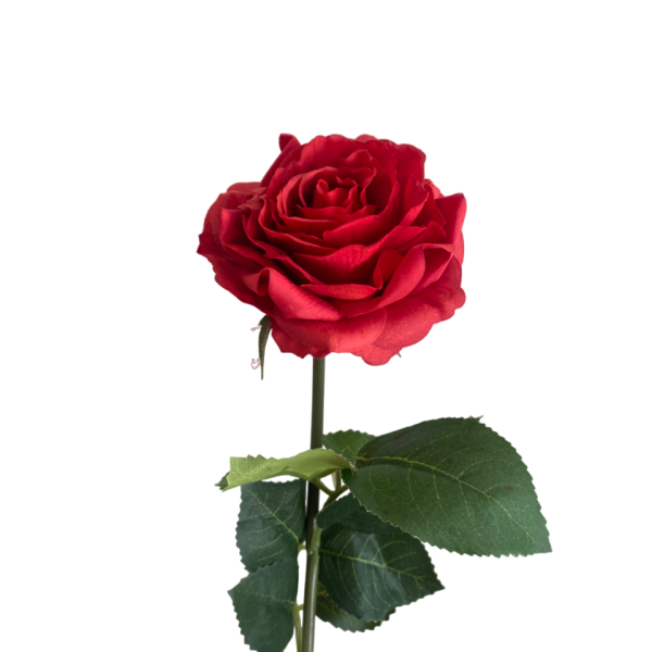 Red Elena Real Touch Rose