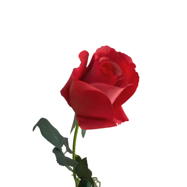 Red Emma Real Touch Rose Bud