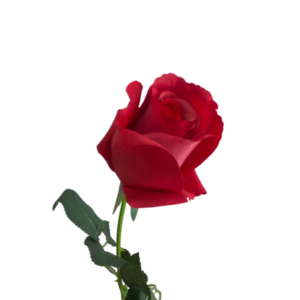 Red Emma Real Touch Rose Bud