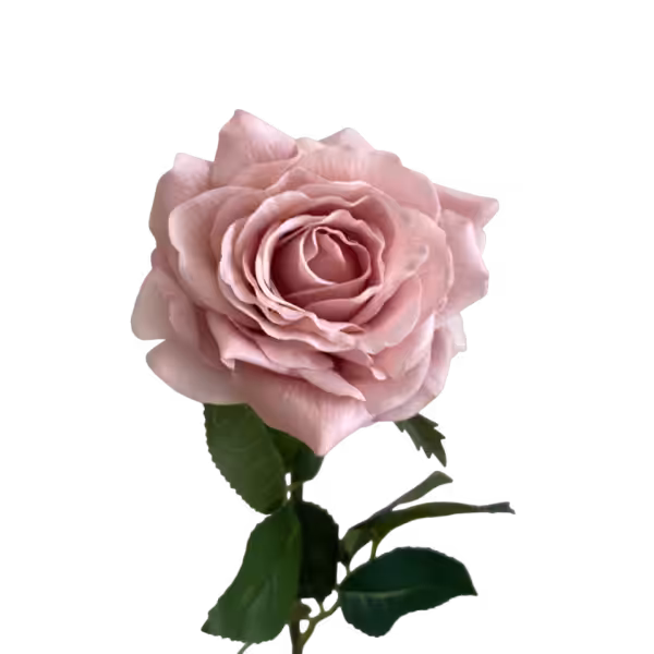 Soft Pink Elena Real Touch Rose