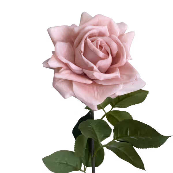 Soft Pink Eva Real Touch Rose